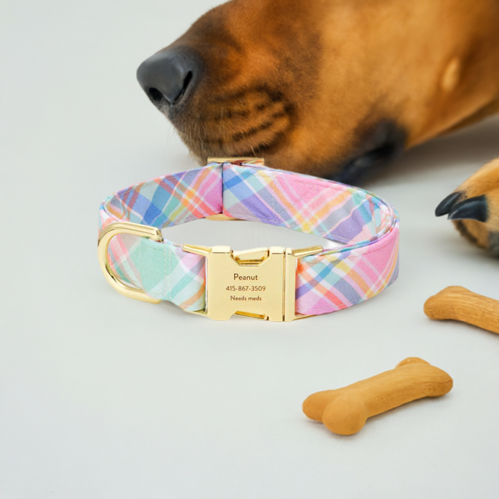Dog collar